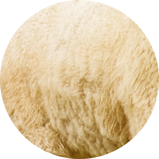Body | Lanolux